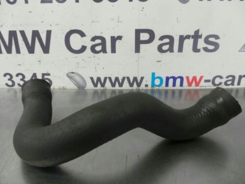 BMW E36 Z3 Radiator Bottom Hose M44 Petrol
