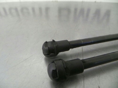 BMW E84 X1 Bonnet Struts Pair Gas Pressurized
