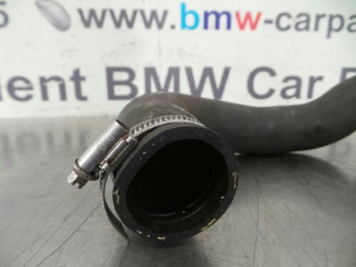 BMW Radiator Bottom Coolant Hose E36 Z3 3 SERIES M42 M43 Petrol