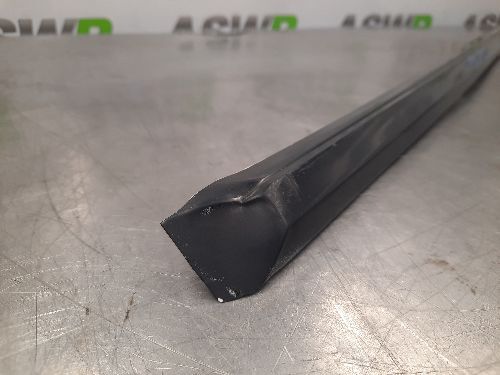 BMW E30 3 SERIES 4 Door Passenger Side Front Door Moulding