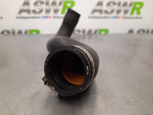 BMW Radiator Bottom Coolant Hose E36 Z3 3 SERIES M42 M43 Petrol