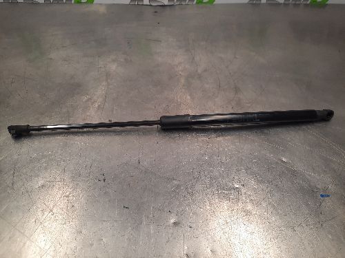 BMW Boot / Tailgate Struts Pair F20 F21 1 SERIES