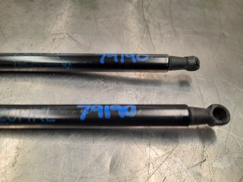 BMW Boot / Tailgate Struts Pair F20 F21 1 SERIES