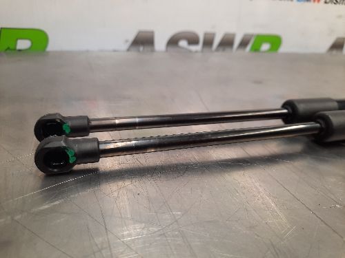 BMW E84 X1 Bonnet Struts Pair Gas Pressurized