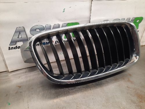 BMW Kidney Grille SE O/S Drivers Side F30 F31 3 SERIES