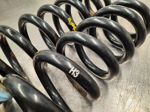 BMW E84 X1 Rear Coil Springs Pair