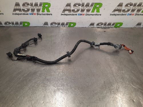 BMW Engine Injector Wiring Loom E46 3 SERIES M47N
