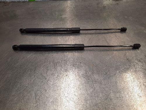 BMW E84 X1 Boot / Tailgate Struts Lifters Pair