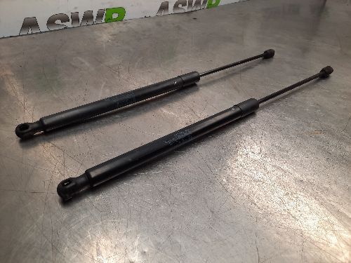 BMW E84 X1 Boot / Tailgate Struts Lifters Pair