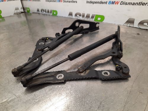 BMW Bootlid Hinges Pair E82 E88 1 SERIES