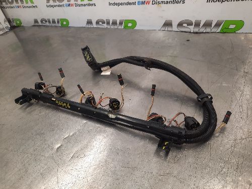 BMW Ignition Injector Wiring Loom E F Generation N55 Petrol