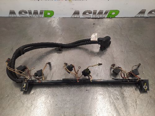 BMW Ignition Injector Wiring Loom E F Generation N55 Petrol