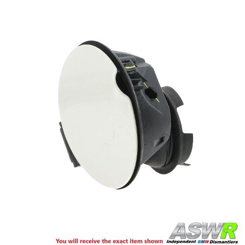 MINI Fuel Flap & Filler Pot R55 R56