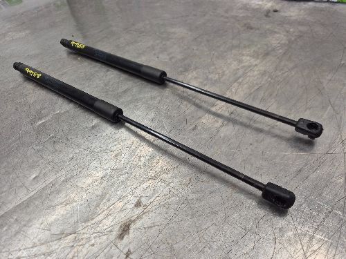 BMW E84 X1 Boot / Tailgate Struts Lifters Pair