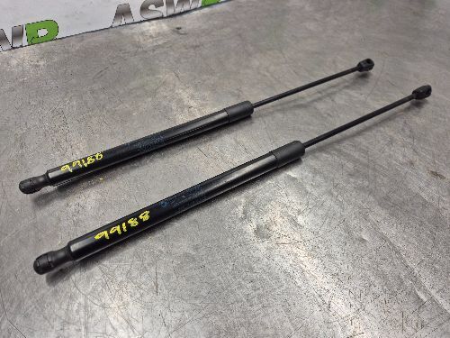 BMW E84 X1 Boot / Tailgate Struts Lifters Pair