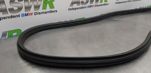 BMW F39 X2 N S F Passenger Side Front Body Door Seal