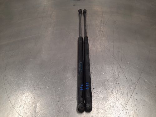 MINI COOPER R56 Boot / Tailgate Struts Pair