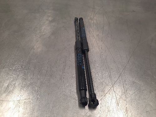 BMW E84 X1 Bonnet Struts Pair Gas Pressurized