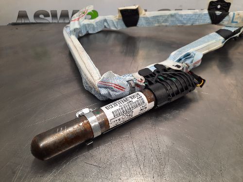 BMW E84 X1 Curtain Roof Safety Module N/S Passenger Left