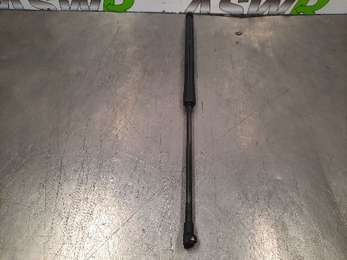 BMW Boot / Tailgate Struts Pair F20 F21 1 SERIES