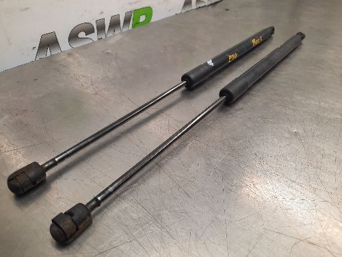 BMW E84 X1 Boot / Tailgate Struts Lifters Pair